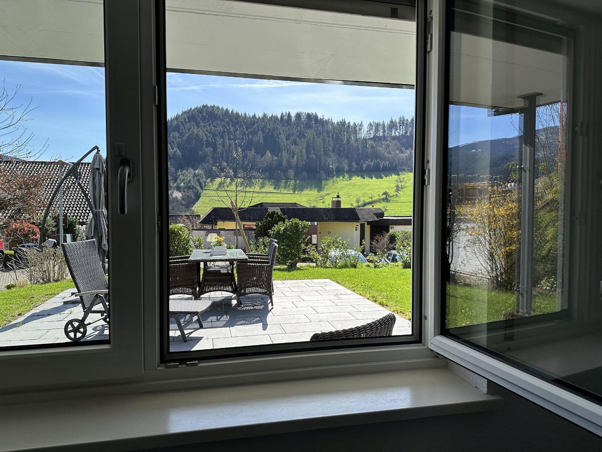 Haus Albi Apartment Waldkirch Luaran gambar