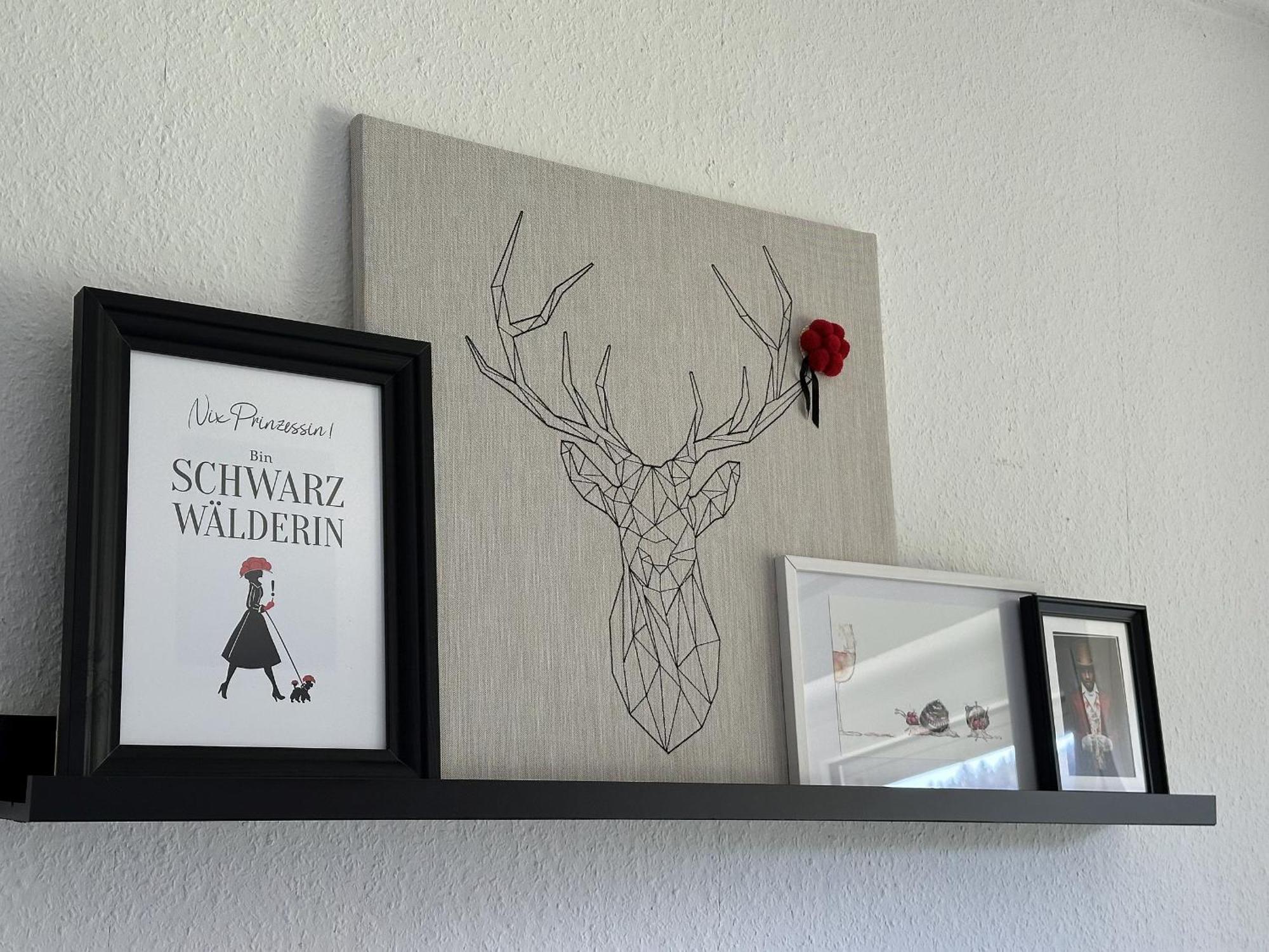Haus Albi Apartment Waldkirch Luaran gambar