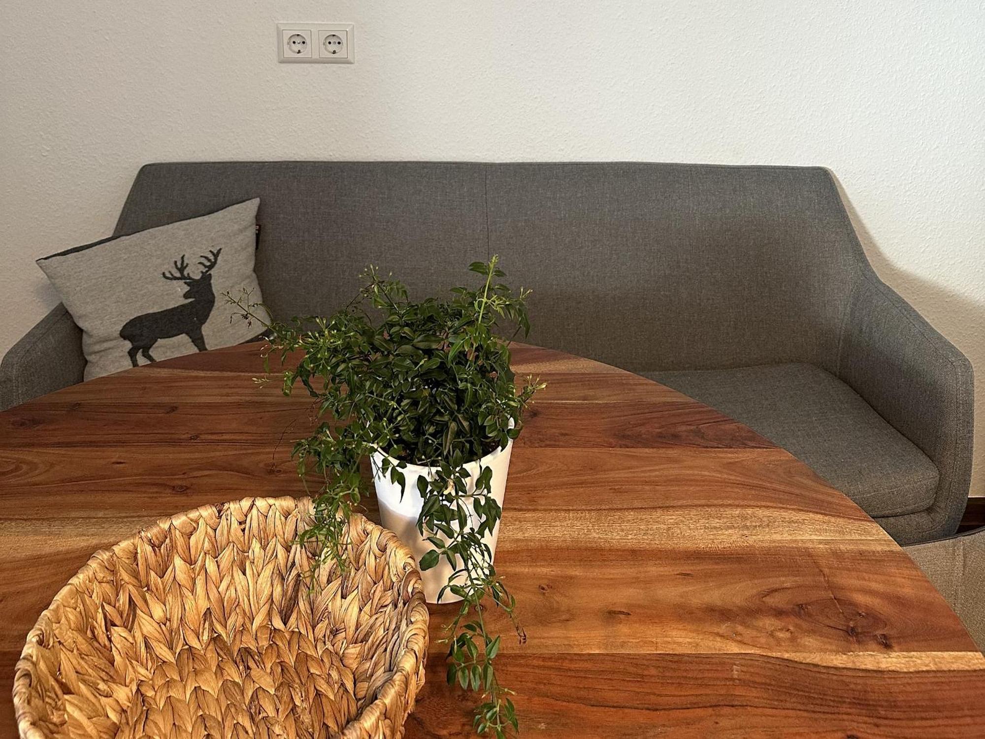 Haus Albi Apartment Waldkirch Luaran gambar