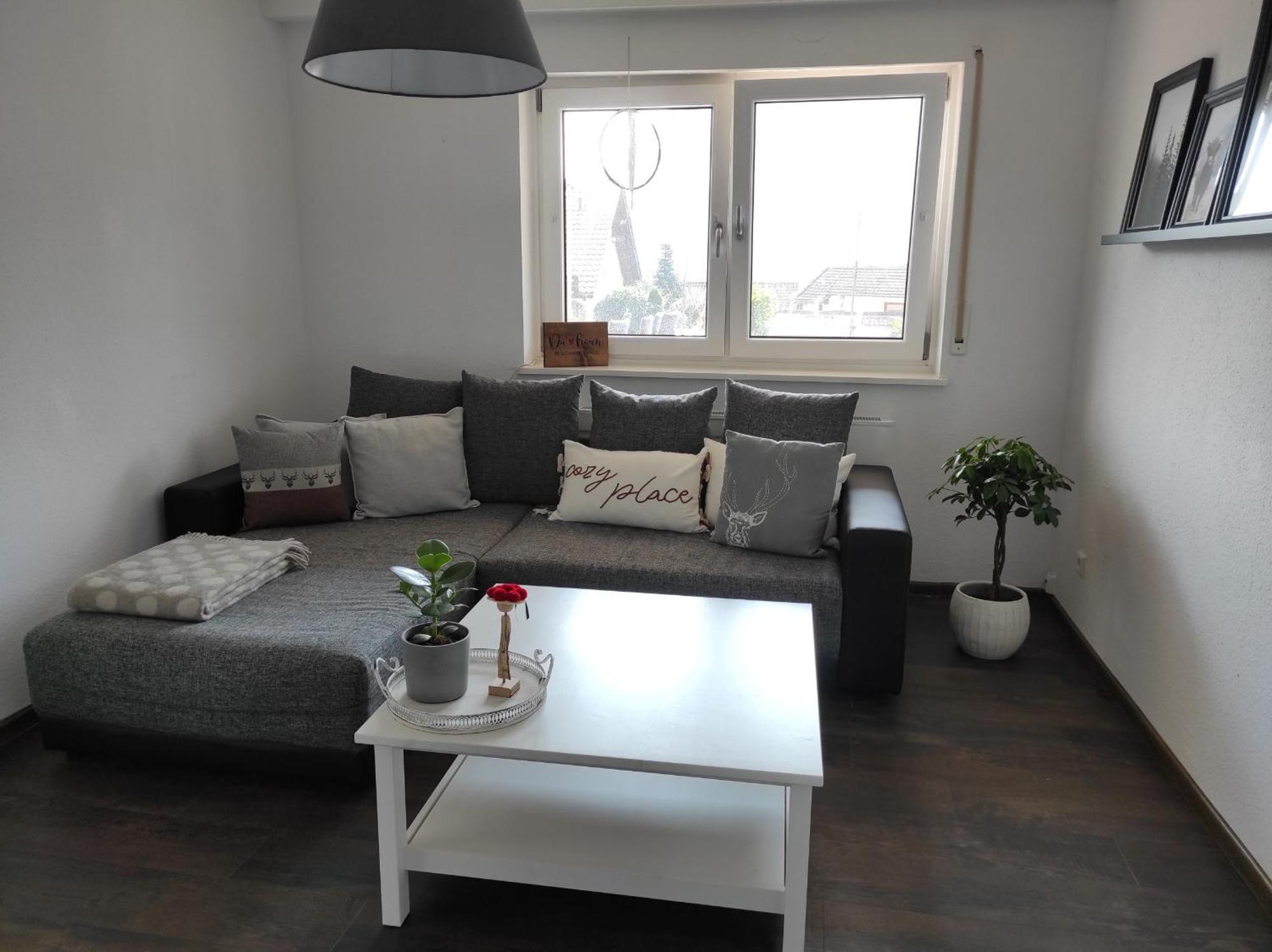 Haus Albi Apartment Waldkirch Luaran gambar