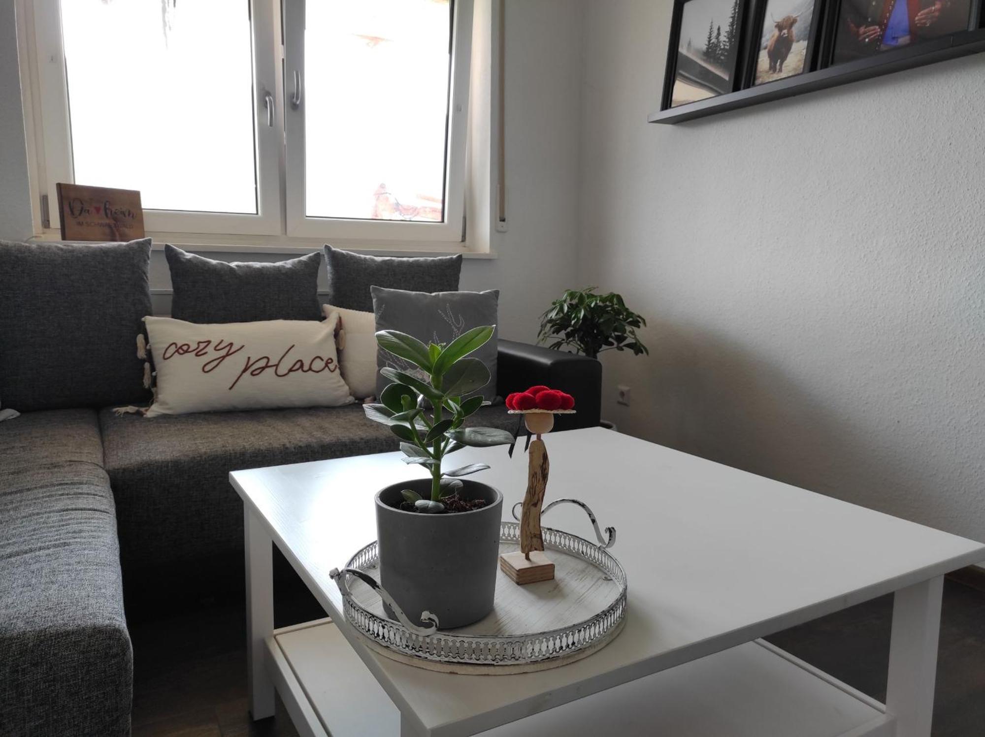 Haus Albi Apartment Waldkirch Luaran gambar