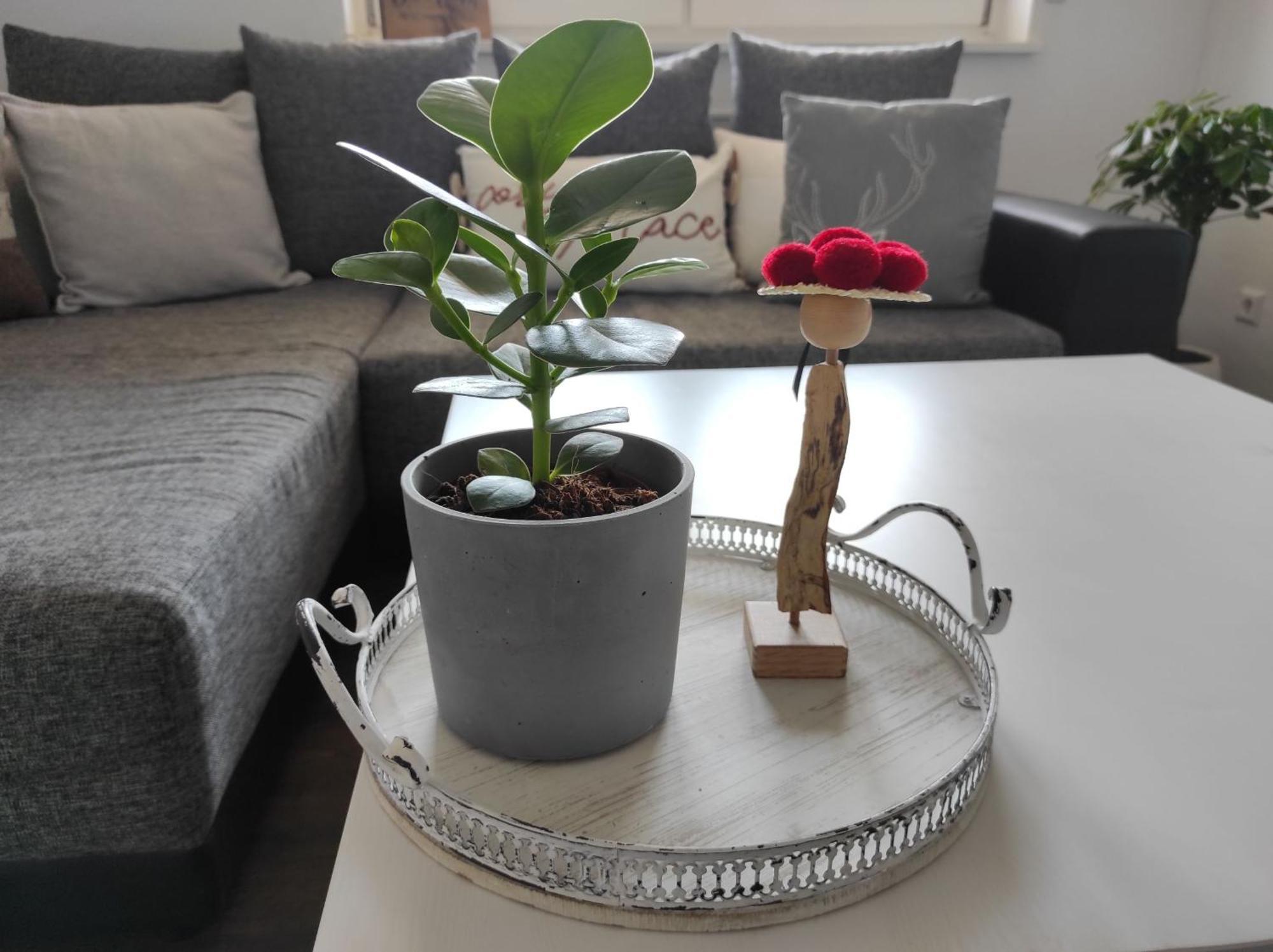 Haus Albi Apartment Waldkirch Luaran gambar